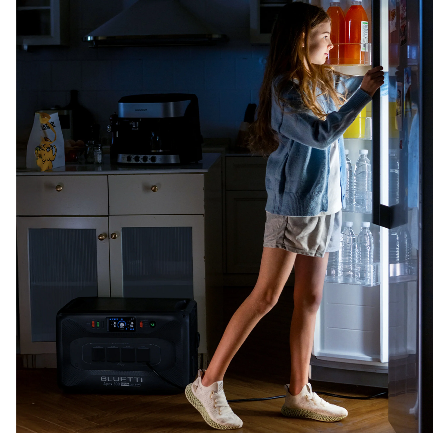 BLUETTI Apex 300 Versatile Power Station 3,840W